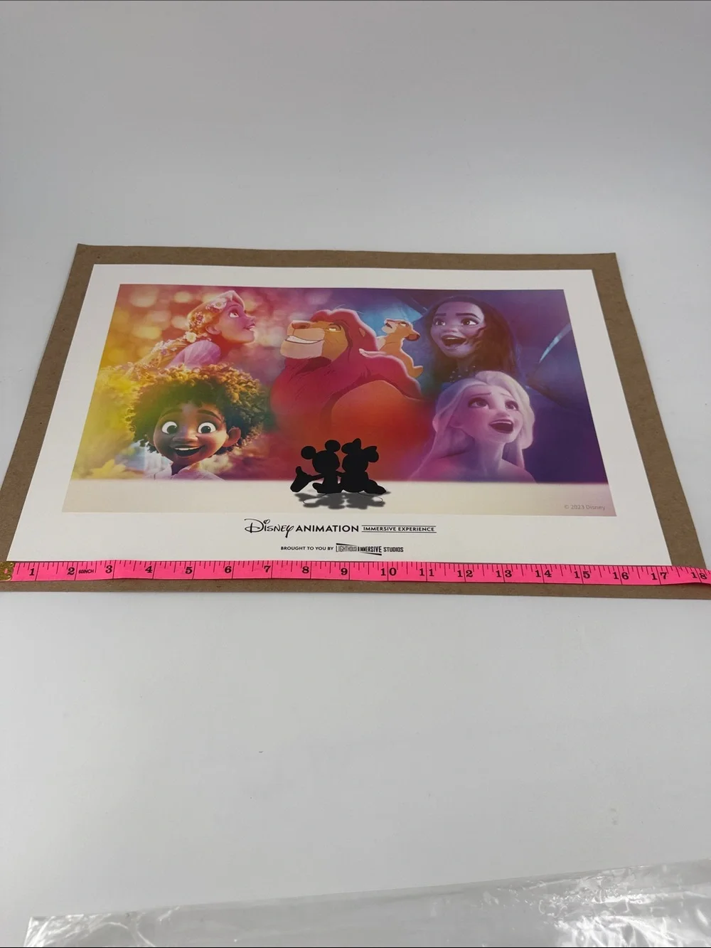 2023 Disney Animation Immersive Experience 17.5x11.25 Print VIP Package Print